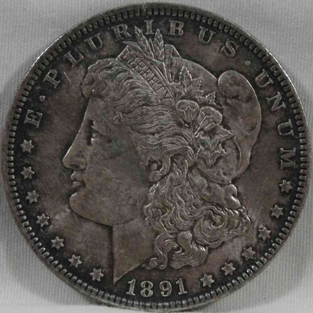 Grading-This-1891-Morgan-Dollar